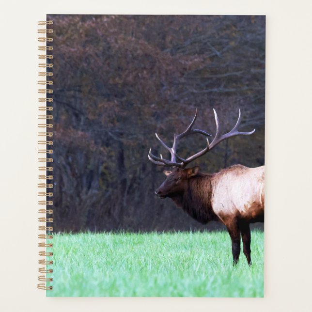Planejador Great Smoky Mountain Elk 2026 (Frente)