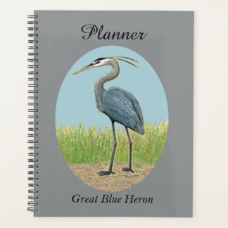 Planejador Heron Azul excelente