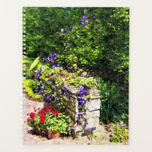 Planejador Lg - Clematis Roxo na Parede