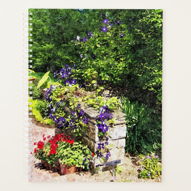 Planejador Lg - Clematis Roxo na Parede (Frente)