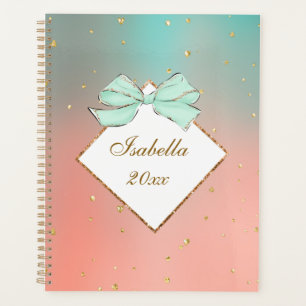 Planejador Personalizado com Laço Rosa e Azul