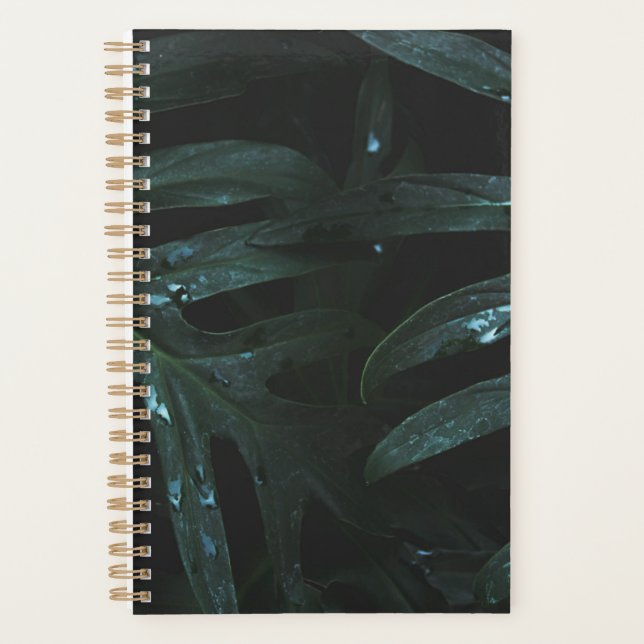 Planejador Personalizado de Confirmação Positiva (Frente)