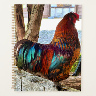 Planejador Personalizado de Rooster Vibrante
