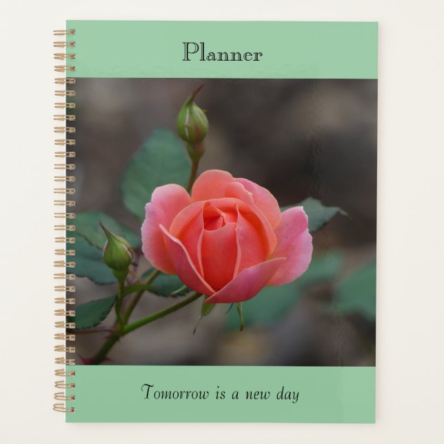 Planejador Pinky Rosebud (Frente)
