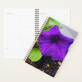 Planejador Pretty Purple Petunia - Foto Original