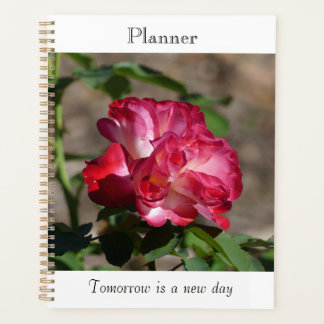 Planejador Rosa Espumante