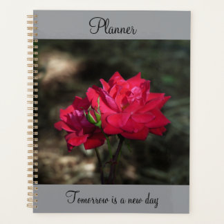 Planejador Rosa Vermelha