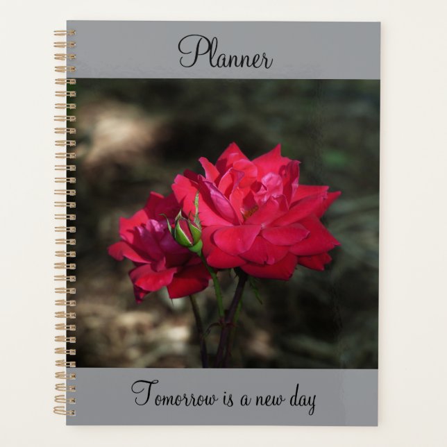Planejador Rosa Vermelha (Frente)