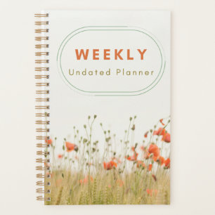 Planejador Semanal Não Atualizado