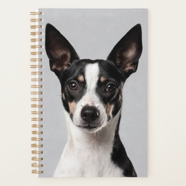 Planejador Toy Fox Terrier (Frente)