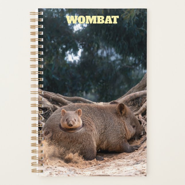 Planejador Wombat 2027 (Frente)