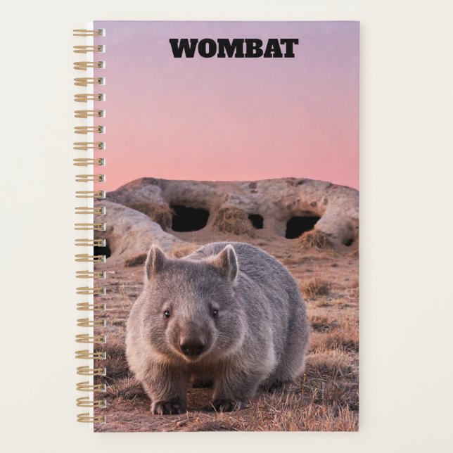 Planejador Wombat 2027 (Frente)