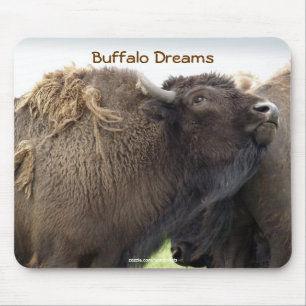 Planície Americana Buffalo Bison Mousepad