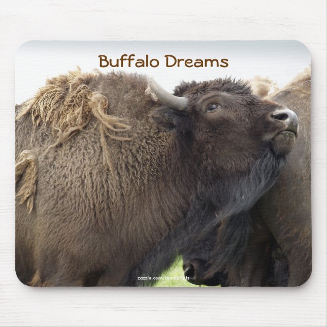 Planície Americana Buffalo Bison Mousepad (Frente)