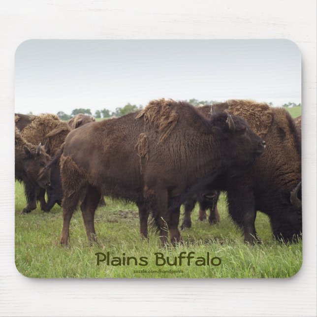Planície Americana Buffalo Bison Mousepad (Frente)