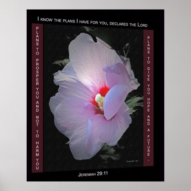 Planos Poster (Frente)