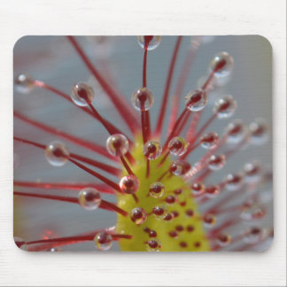 Planta carnívora Mousepad de Sundew