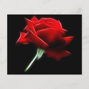Planta da flor da rosa vermelha