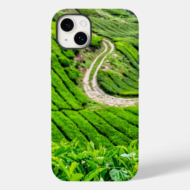 Plantação de Chá de Cameron Highlands (Verso)