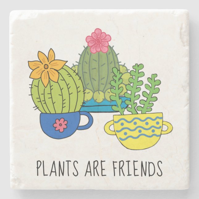 Plantas Amigáveis Porta copos De Pedra Suculenta (Frente)