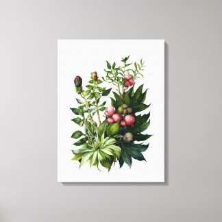 Plantas aromáticas e flores, canvas aquáticas