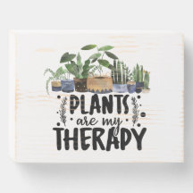 Plantas Botânicas Mínimas São Minha Terapia