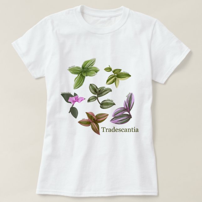 Plantas de camiseta Tradescantia (Frente do Design)