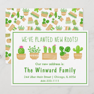 Plantas de Casa Cactus Branco Anúncio de Nova Casa