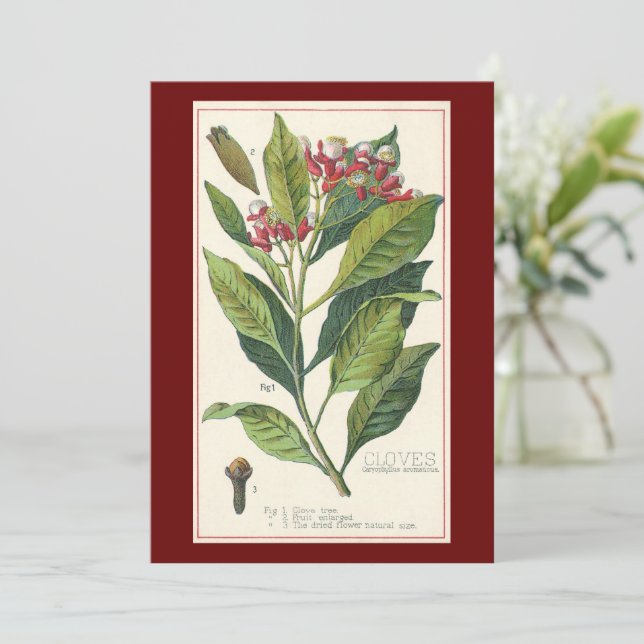 Plantas De Comida Vintage (Em pé/Frente)