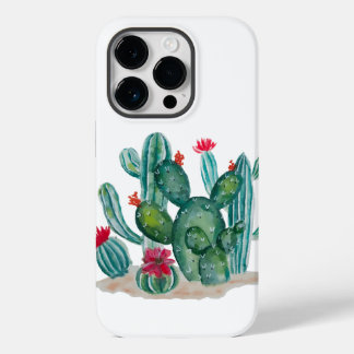 Plantas De Flor Cactus