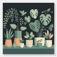 Plantas De Vinho Verde De Natal