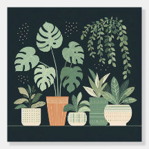 Plantas De Vinho Verde De Natal