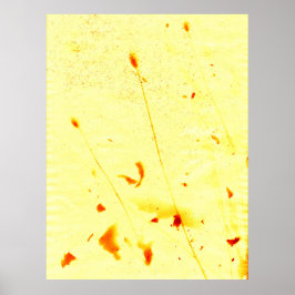 Plantas secas e sementes, Poster de impressão sola