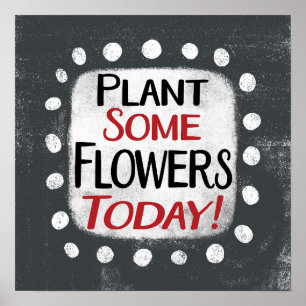 Plante algumas flores hoje Poster Wall Art