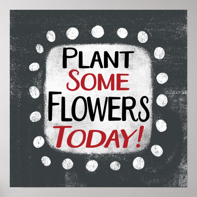 Plante algumas flores hoje Poster Wall Art (Frente)