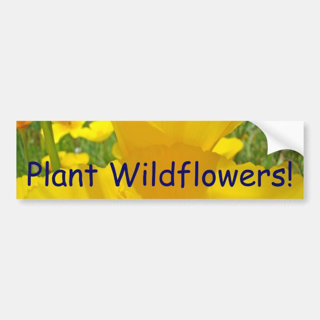 Plante Flores Silvestres! adesivos para para-choqu (Frente)