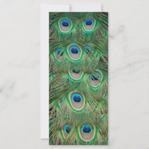 Plumagem de peacock