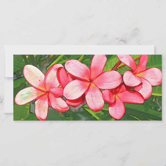 Plumeria (Frente)