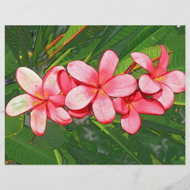 Plumeria (Frente)