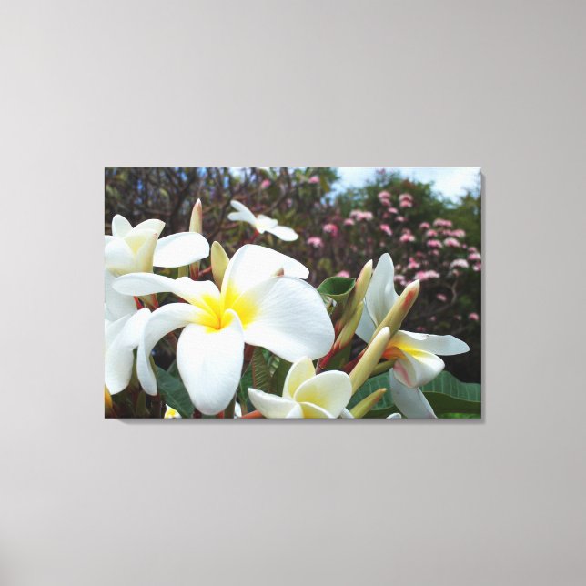 Plumeria Canvas Imprimir 1 (Frente)