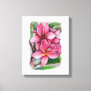 Plumeria Canvas Print