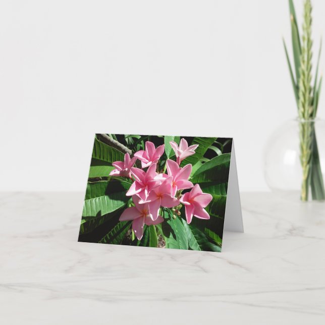 Plumeria Cor-de-rosa Cartão de Nota Dobrada (Frente)