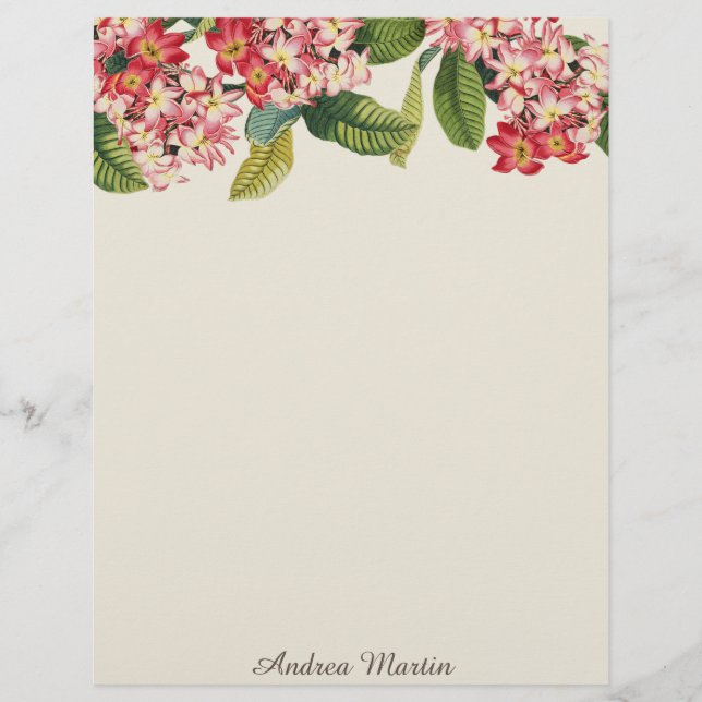 Plumeria Floral Floral Tropical Ilhas Flores Lette (Frente)