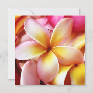 Plumeria Frangipani Hawaii Flor Vazio Personalizad