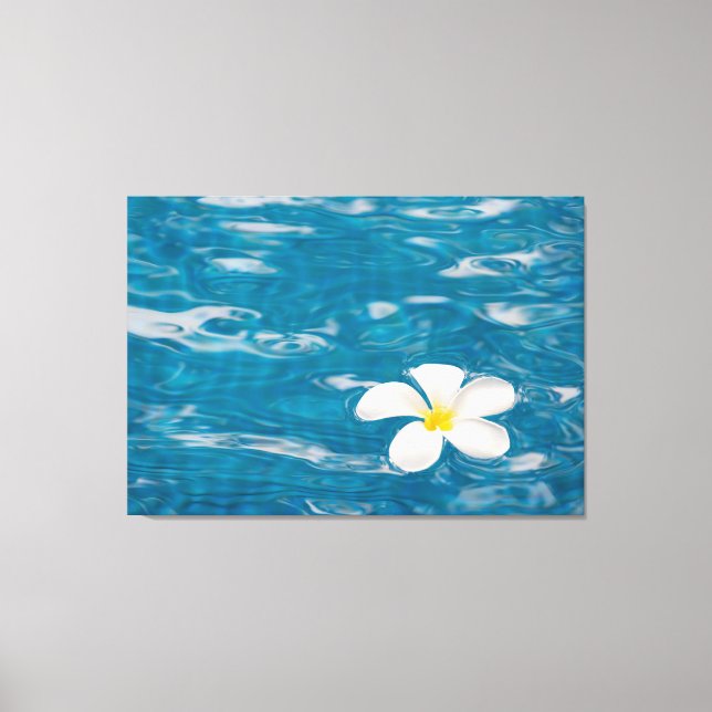 Plumeria Piscina Canvas Art (Frente)