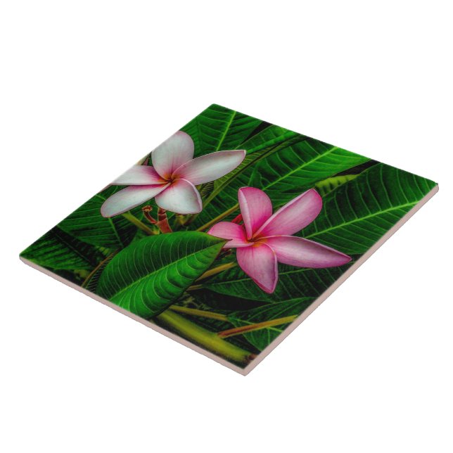Plumerias em Azulejo de cerâmica branco e rosa (Lateral)