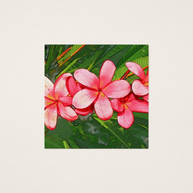 Plumerias rosa (Frente)