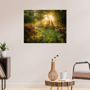 Pneus no Mural Poster do Mural do Woods