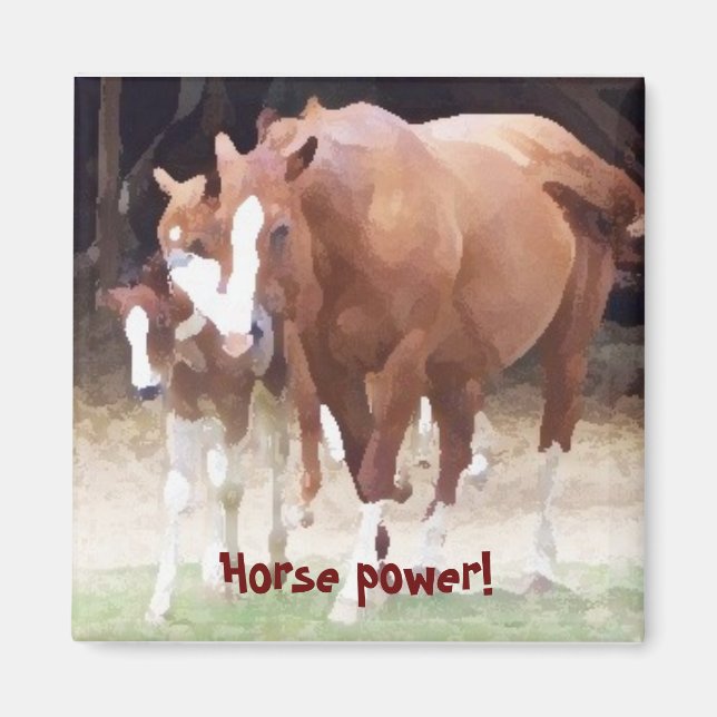 Poder do cavalo! Íman (Frente)