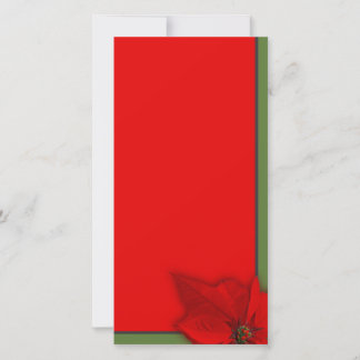Poinsettia